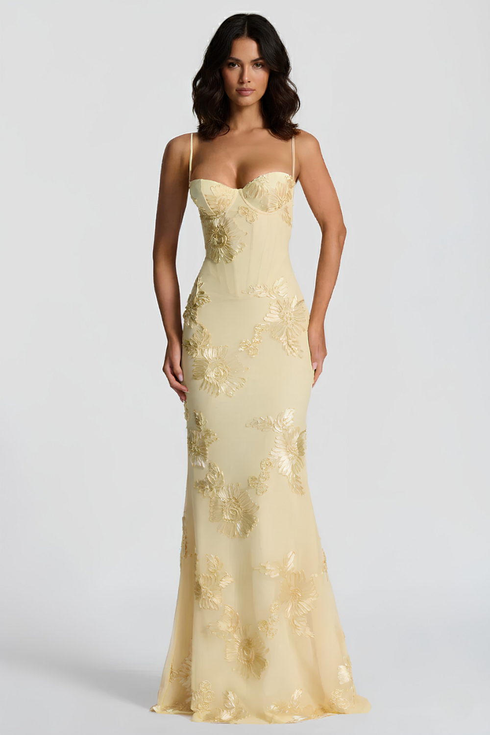 Viena Bustier Maxi Dress